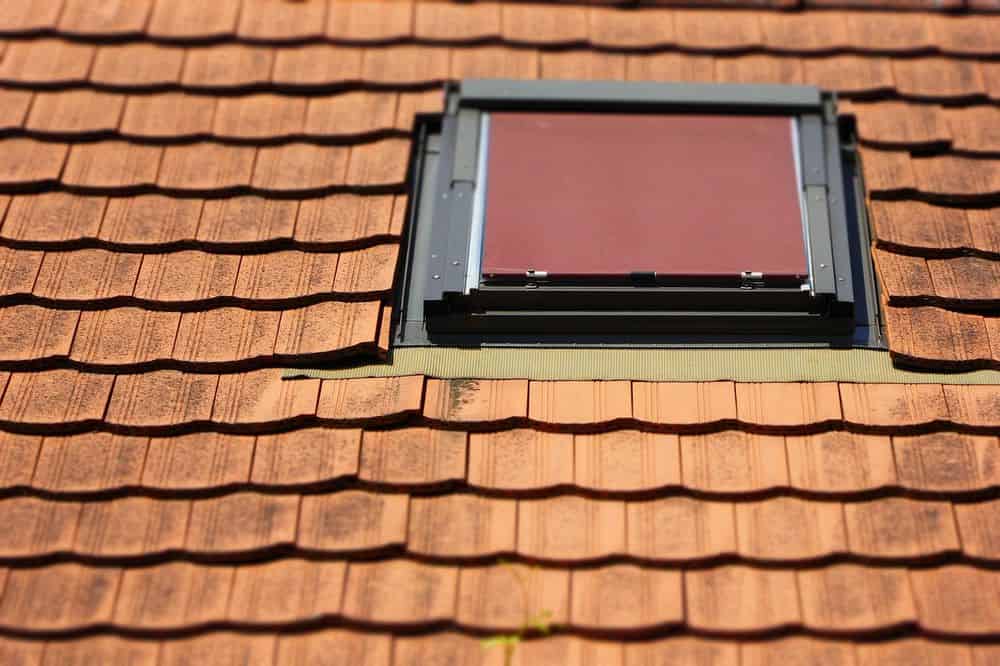 Skylight Repair  image